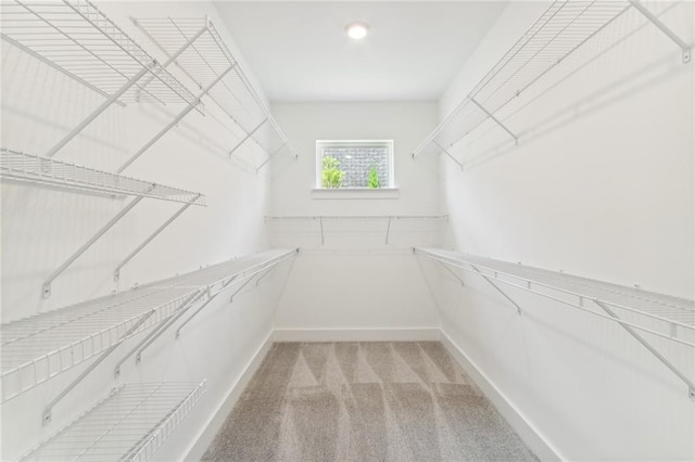 walk in closet featuring light carpet