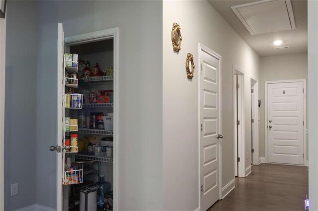 hallway featuring dark wood-type flooring