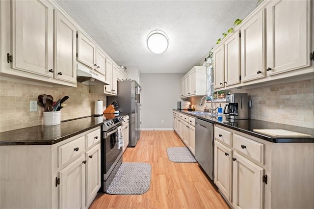 kitchen featuring under cabinet range hood, stainless steel appliances, a sink, light wood-type flooring, and tasteful backsplash