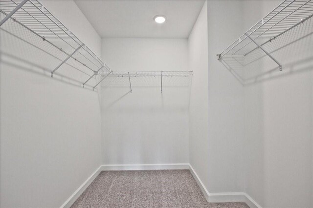 spacious closet with carpet flooring