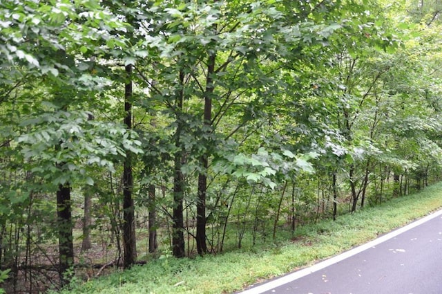 3461 Wild Pansy Rdg, Big Canoe GA, 30143 land for sale