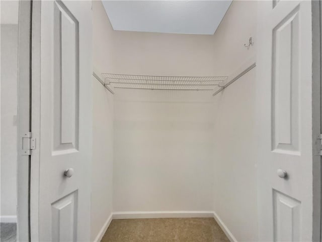 view of walk in closet