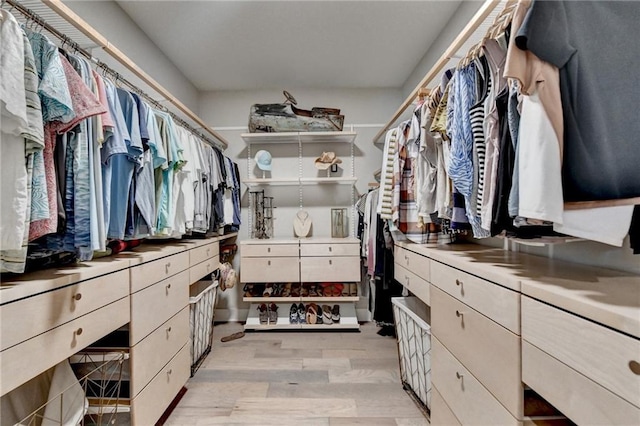 view of walk in closet