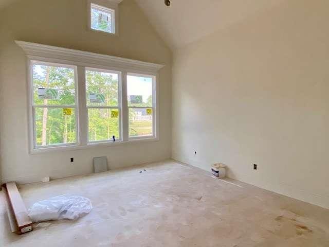 LOT35 Waterview Ct, Newnan, GA 30263 - spare room featuring high vaulted ceiling