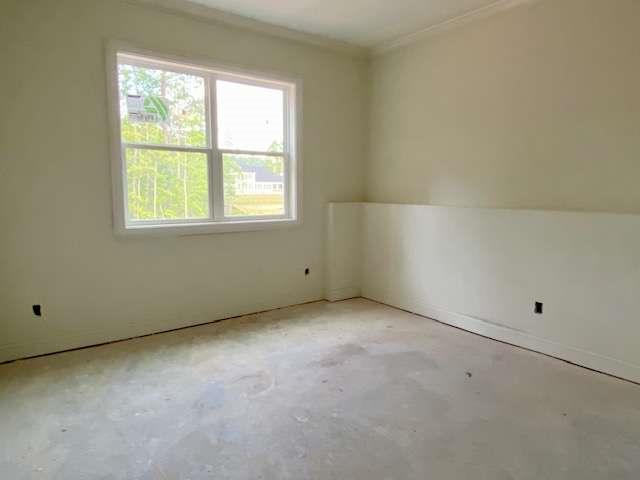LOT35 Waterview Ct, Newnan, GA 30263 - spare room featuring healthy amount of natural light, concrete floors, and crown molding