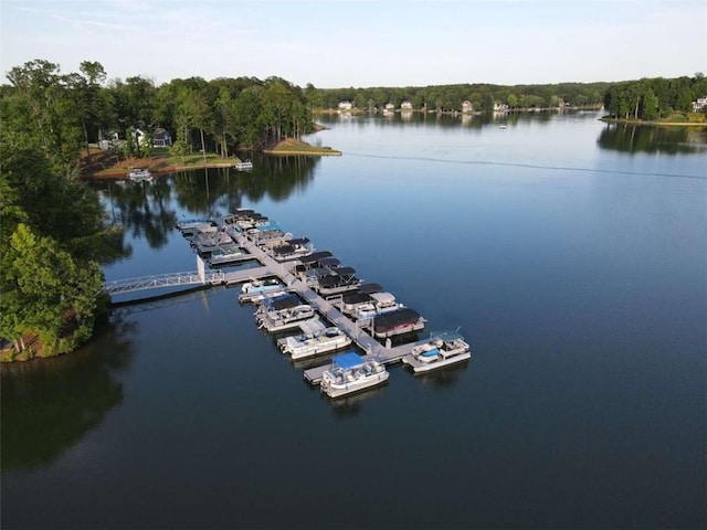 LOT35 Waterview Ct, Newnan, GA 30263 - bird's eye view of a large body of water