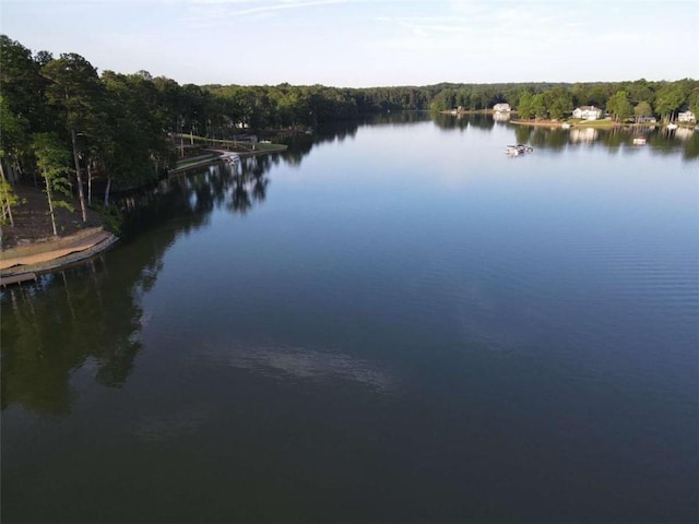 LOT35 Waterview Ct, Newnan, GA 30263 - water view with a heavily wooded area and a dock