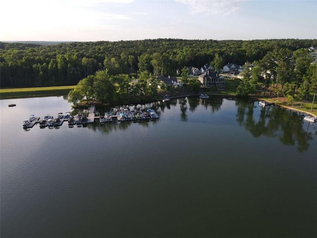 LOT35 Waterview Ct, Newnan, GA 30263 - water view featuring a forest