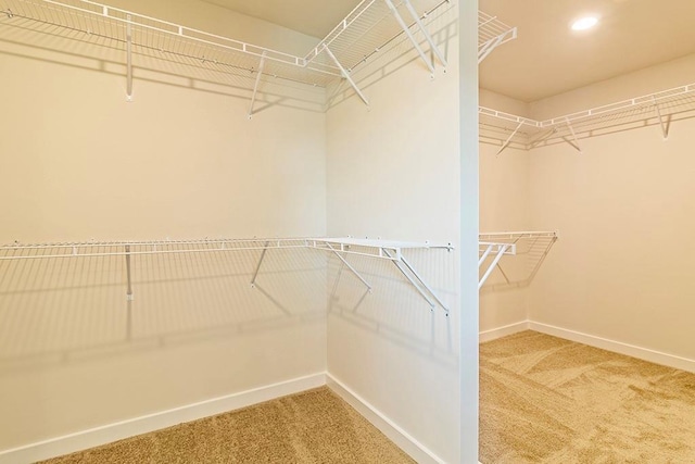 spacious closet with carpet floors