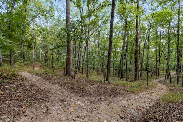 view of local wilderness