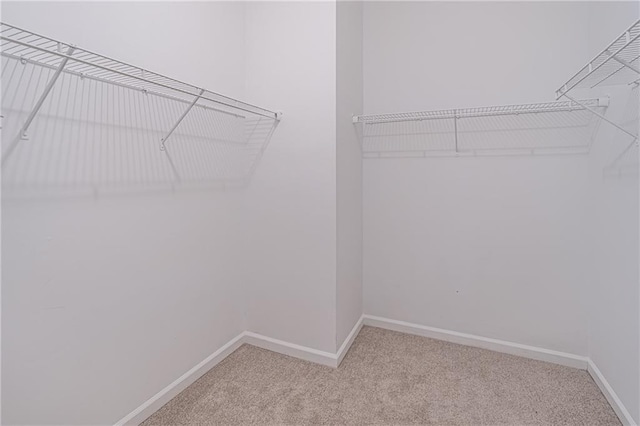 walk in closet with carpet