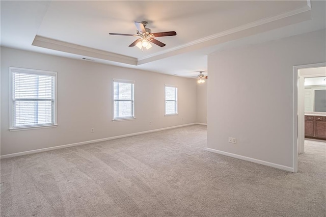 empty room with a healthy amount of sunlight, a raised ceiling, and light colored carpet