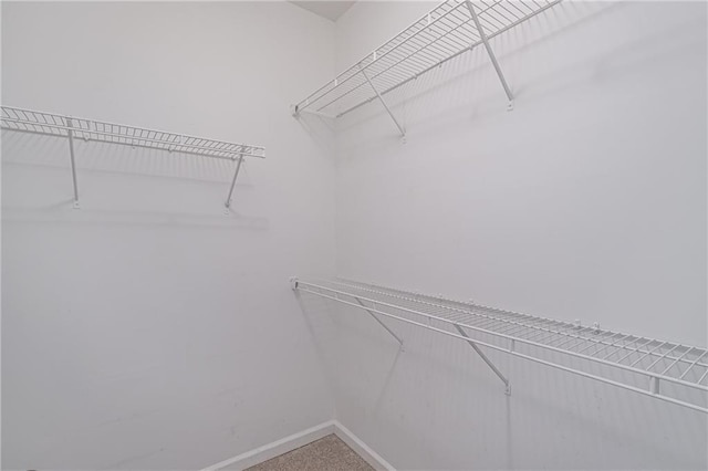 spacious closet featuring carpet floors