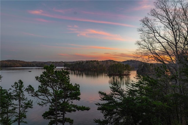 property view of water with a forest view