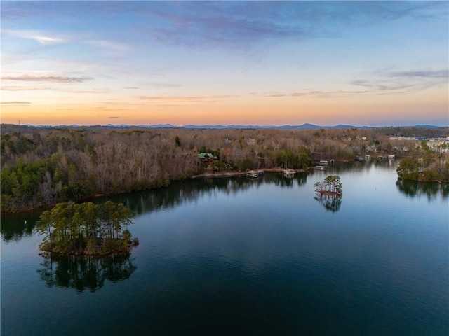 property view of water with a wooded view