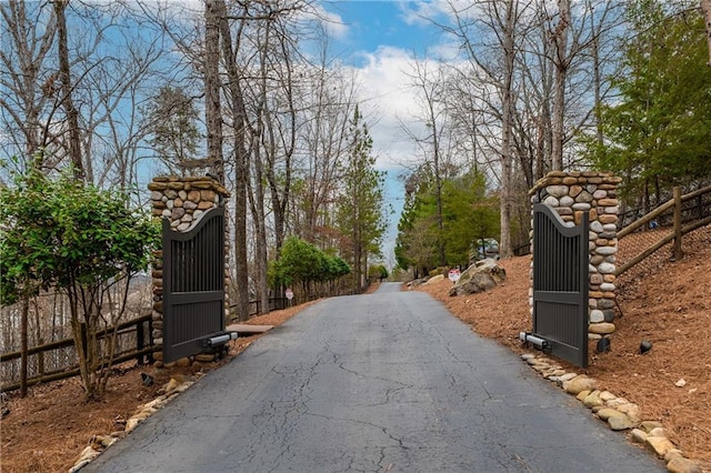 view of road featuring driveway, a gated entry, and a gate