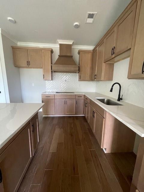 129 Silvercrest Dr, Acworth, GA 30101 - kitchen with a sink, custom range hood, dark wood finished floors, crown molding, and backsplash