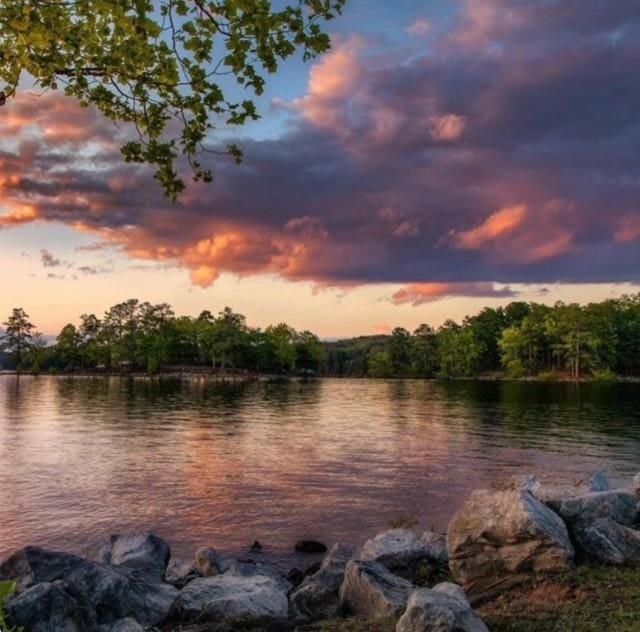 129 Silvercrest Dr, Acworth, GA 30101 - water view