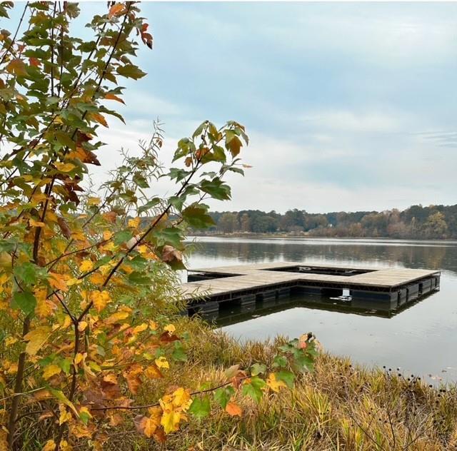 129 Silvercrest Dr, Acworth, GA 30101 - dock featuring a water view and a wooded view