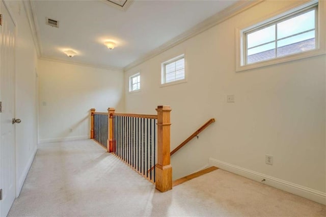 interior space with light colored carpet