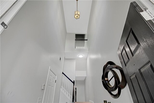 living room featuring ceiling fan, electric panel, and dark hardwood / wood-style flooring