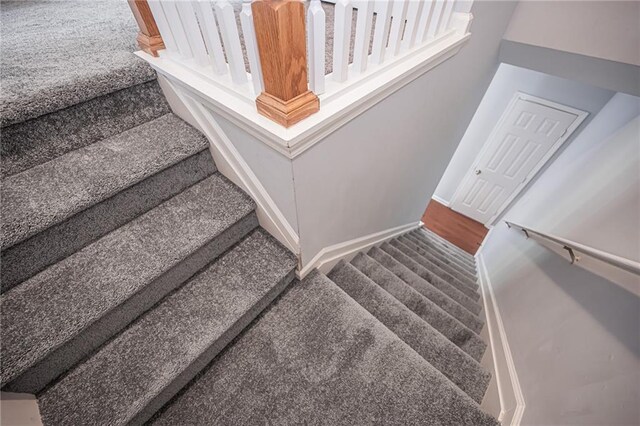 stairway with carpet flooring