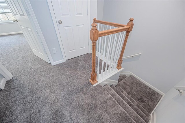 stairway featuring carpet floors