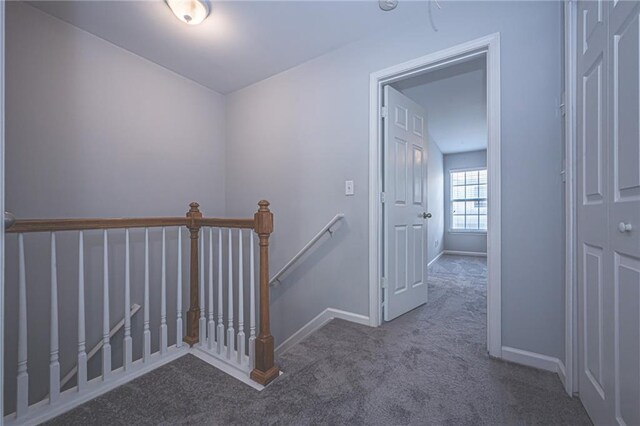 hallway featuring carpet