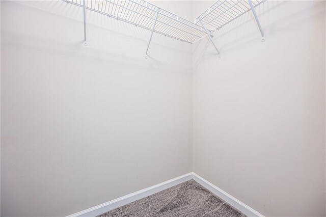 walk in closet with carpet flooring