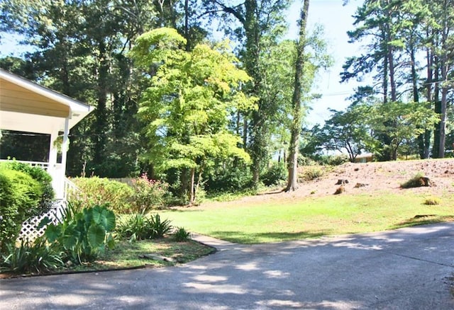 view of yard