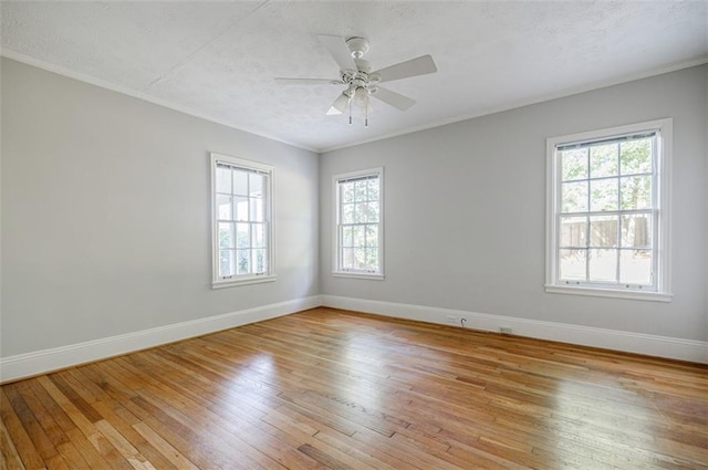 2007 Mount Vernon Pl, Dunwoody, GA 30338 - empty room featuring plenty of natural light, light wood finished floors, crown molding, a ceiling fan, and a textured ceiling