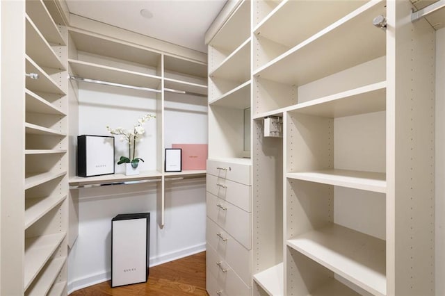 spacious closet featuring dark wood-type flooring