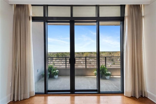 doorway to outside featuring hardwood / wood-style floors and a wealth of natural light