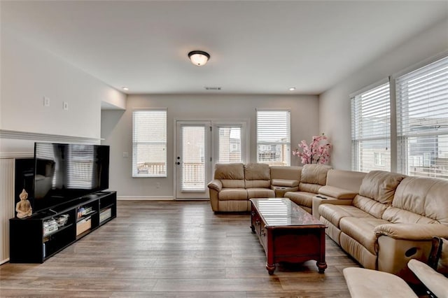 living room featuring hardwood / wood-style floors