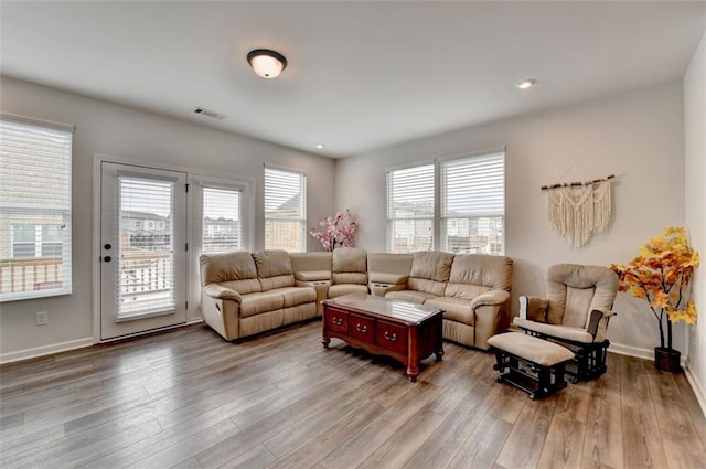 living room featuring hardwood / wood-style flooring