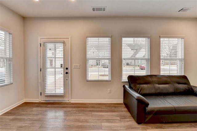 interior space featuring a wealth of natural light and light hardwood / wood-style floors