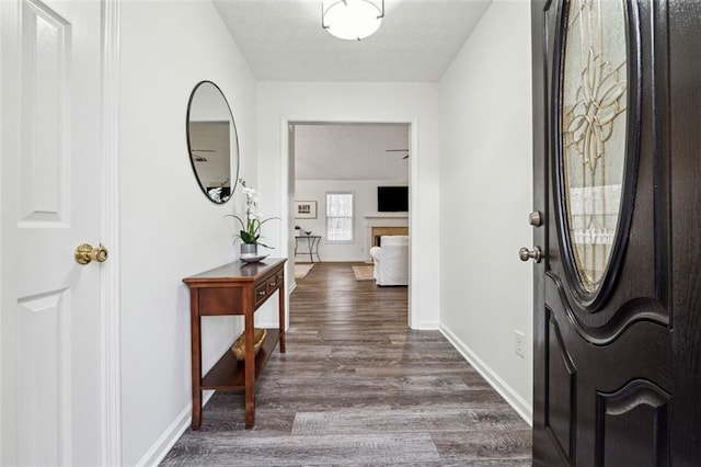 foyer entrance with dark hardwood / wood-style flooring