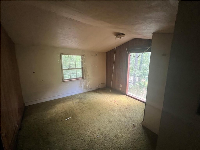 345 Banner Cir, Ellijay, GA 30540 - carpeted empty room featuring lofted ceiling and a textured ceiling