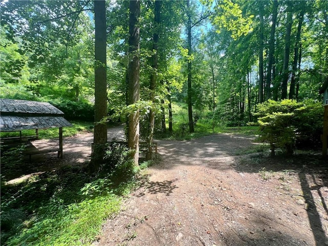 345 Banner Cir, Ellijay, GA 30540 - view of road