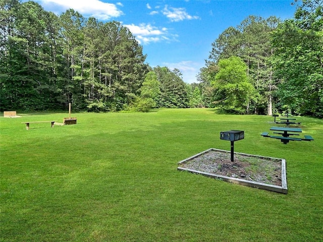 21 Picketts Ridge Ln, Acworth, GA 30101 - view of property's community featuring a yard