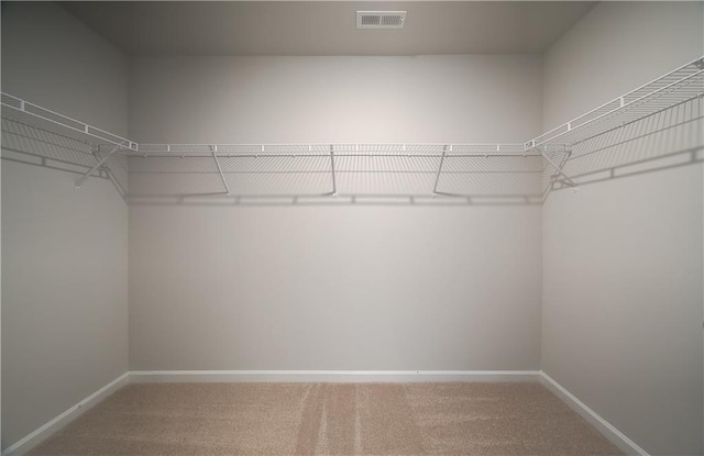 spacious closet with carpet floors