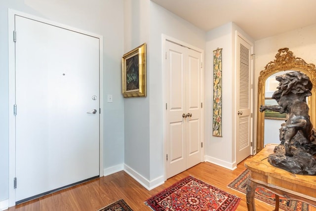 entryway featuring wood-type flooring