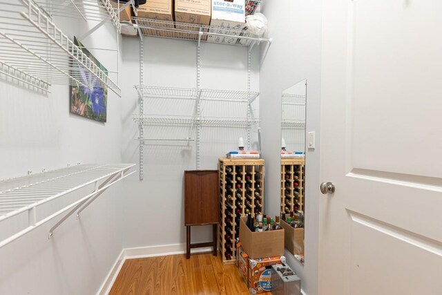 spacious closet with wood-type flooring