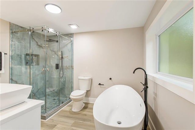 bathroom featuring vanity, toilet, a shower with door, and wood-type flooring