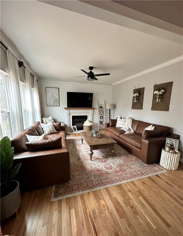 living room with wood-type flooring, ceiling fan, and crown molding