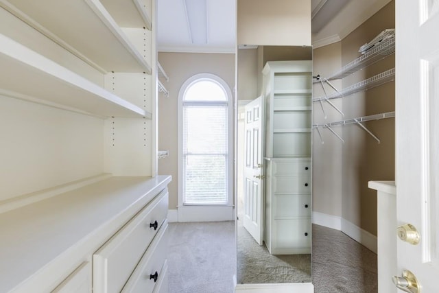 walk in closet with light carpet