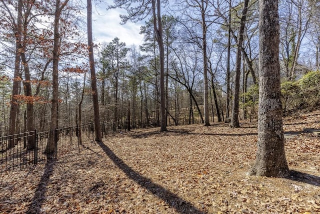 view of local wilderness