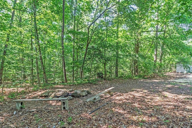 515 Waxwing Dr, Monticello, GA 31064 - view of woods