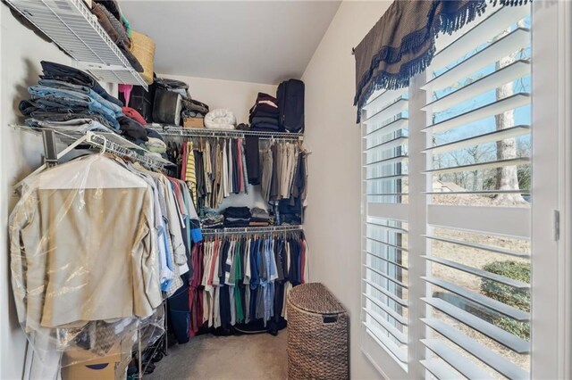 spacious closet featuring carpet