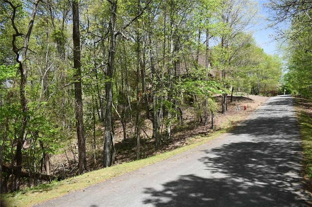 Listing photo 2 for 62 Miners Pl, Dahlonega GA 30533